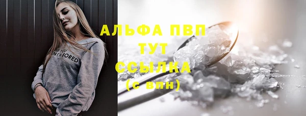 индика Осинники