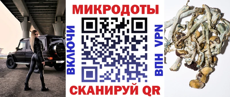 где можно купить наркотик  Тихвин  Галлюциногенные грибы Psilocybine cubensis 