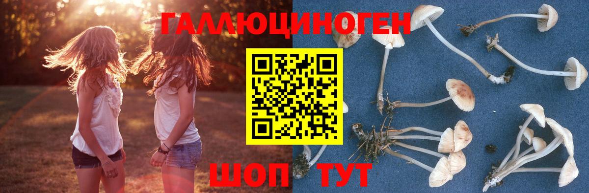 Псилоцибиновые грибы Psilocybine cubensis  Вход с VPN  Тихвин 