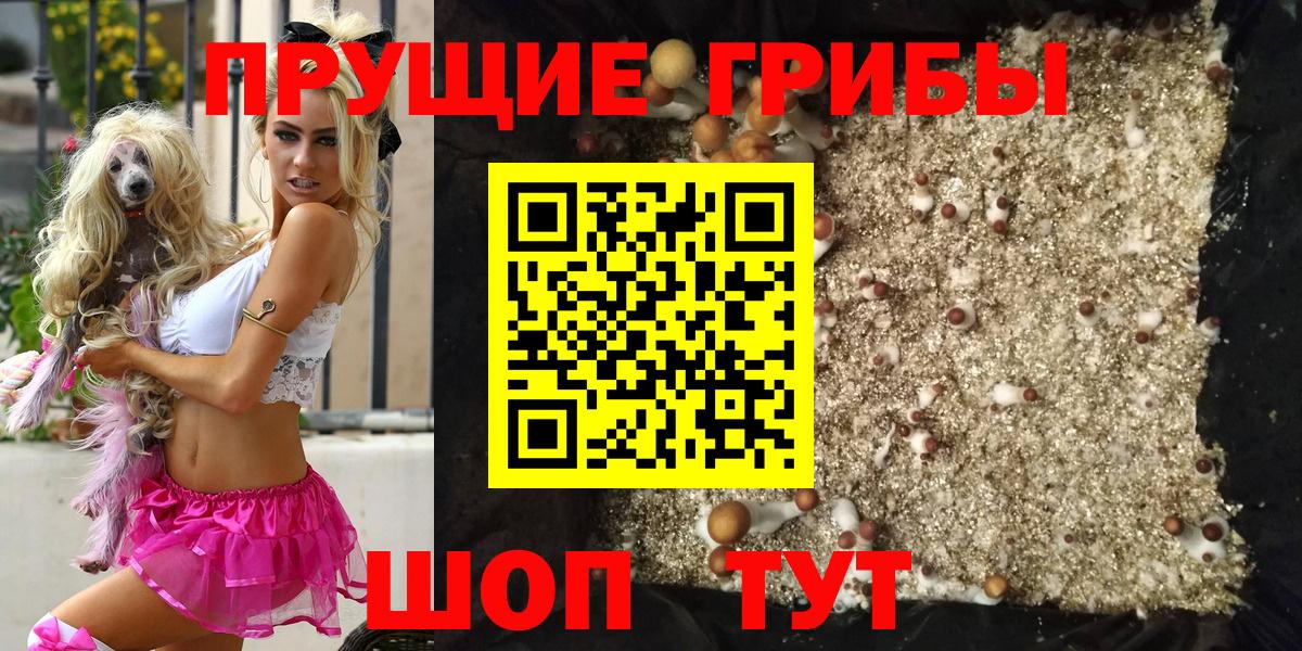 Псилоцибиновые грибы Psilocybe Тихвин